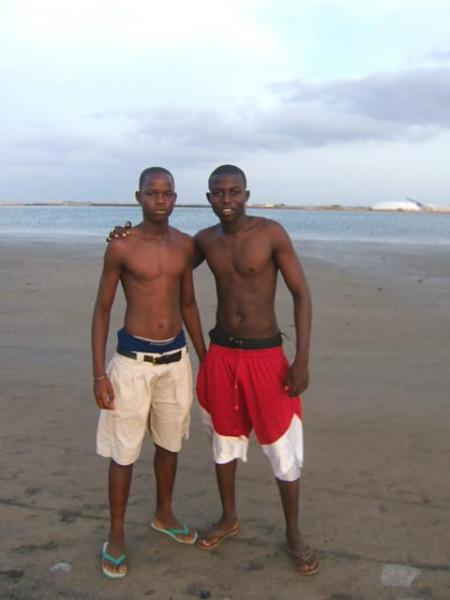 lamine and lamine